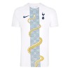 Virallinen Fanipaita Tottenham Hotspur Pre-Match 2024-25 - Miesten